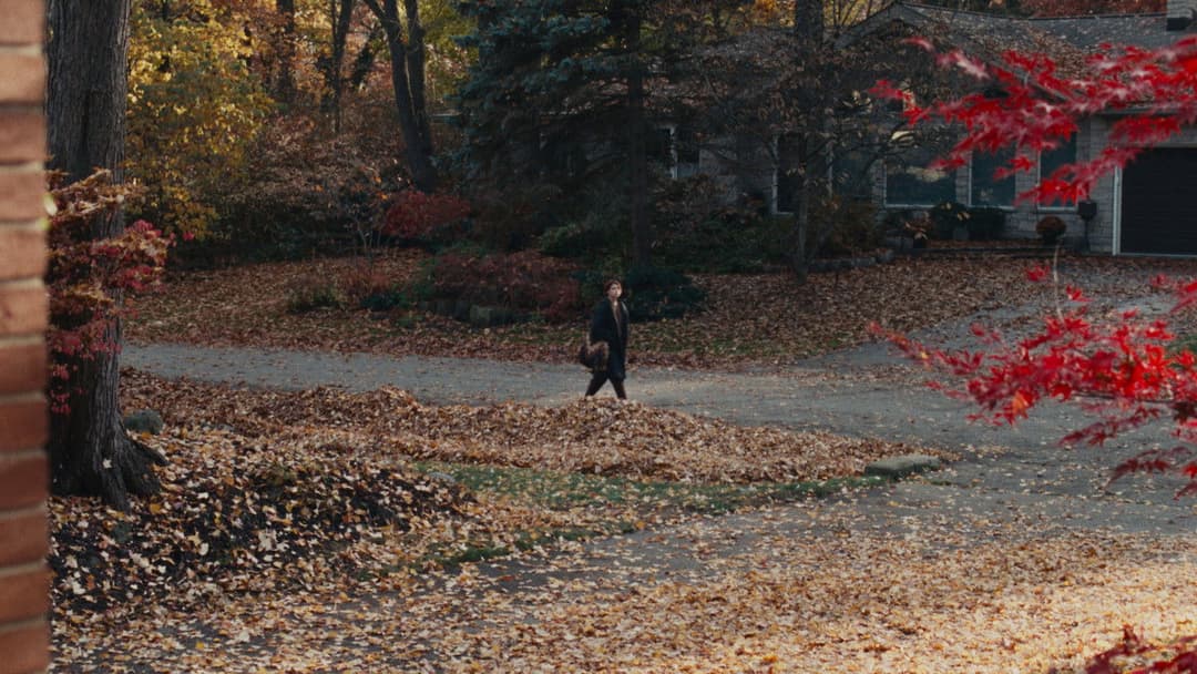 Fingernails backdrop 10