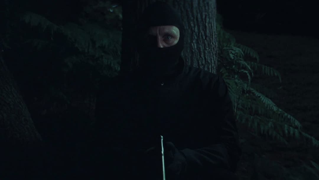 Layer Cake backdrop 15