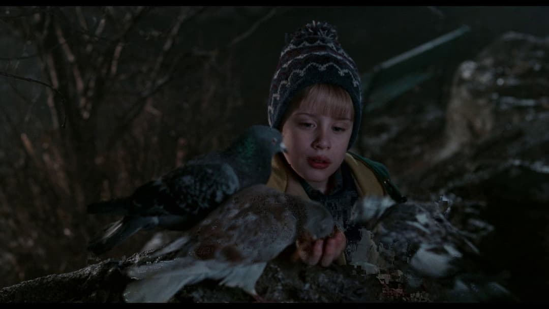 Сам удома 2: Загублений у Нью-Йорку backdrop 8