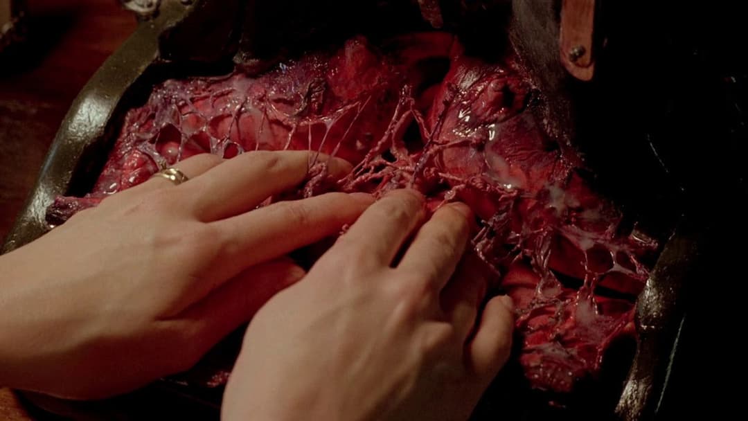 Обід голяка backdrop 20