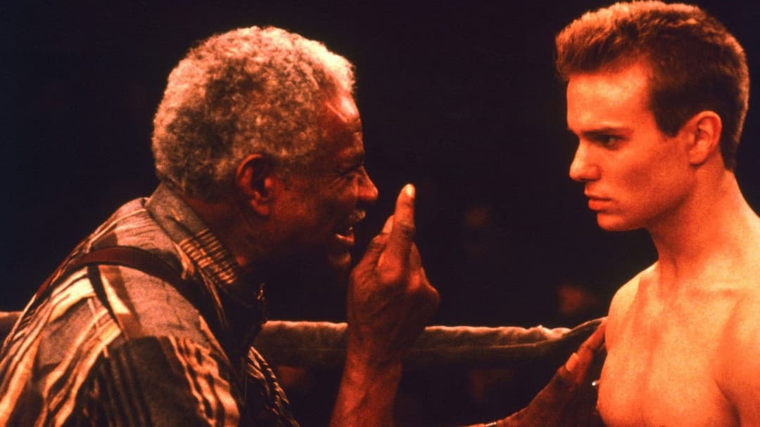 Fäuste - Du musst um dein Recht kämpfen backdrop 5