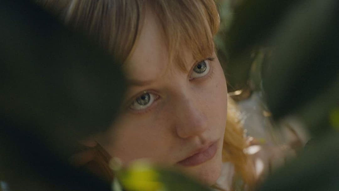 My First Summer backdrop 8