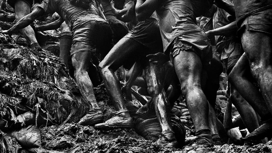 Das Salz der Erde backdrop 5