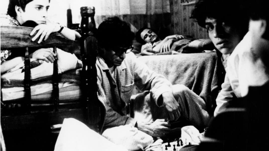 Rojo amanecer backdrop 2