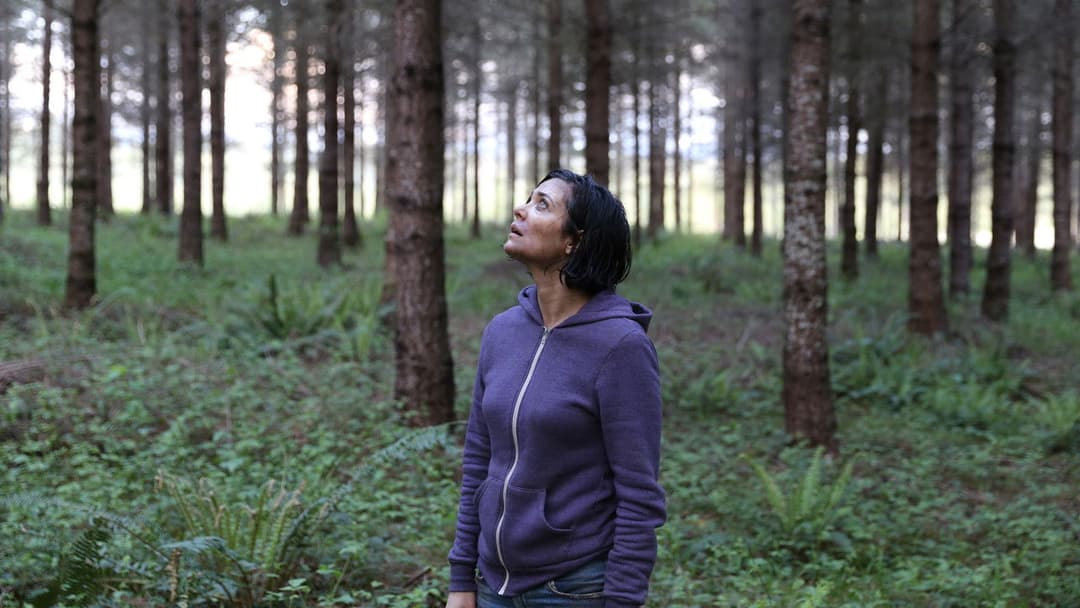 Alone - Du kannst nicht entkommen backdrop 15