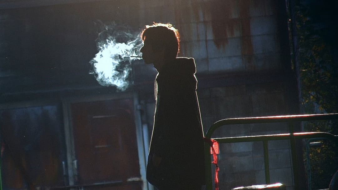 リリイ・シュシュのすべて backdrop 19