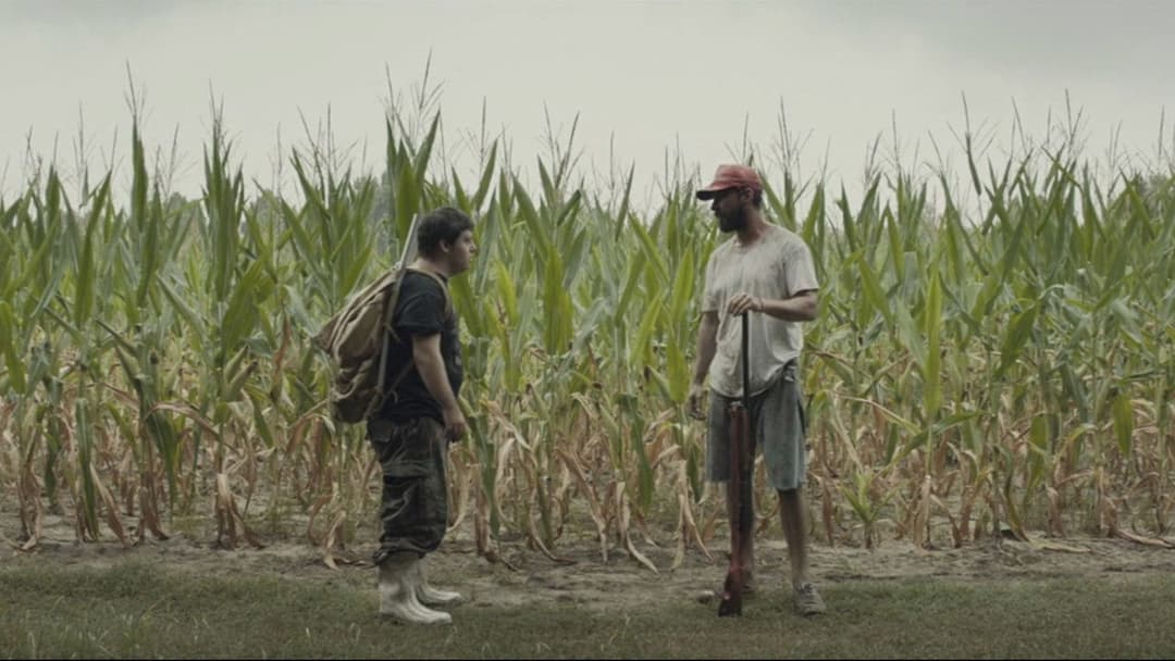 Арахісовий сокіл backdrop 15