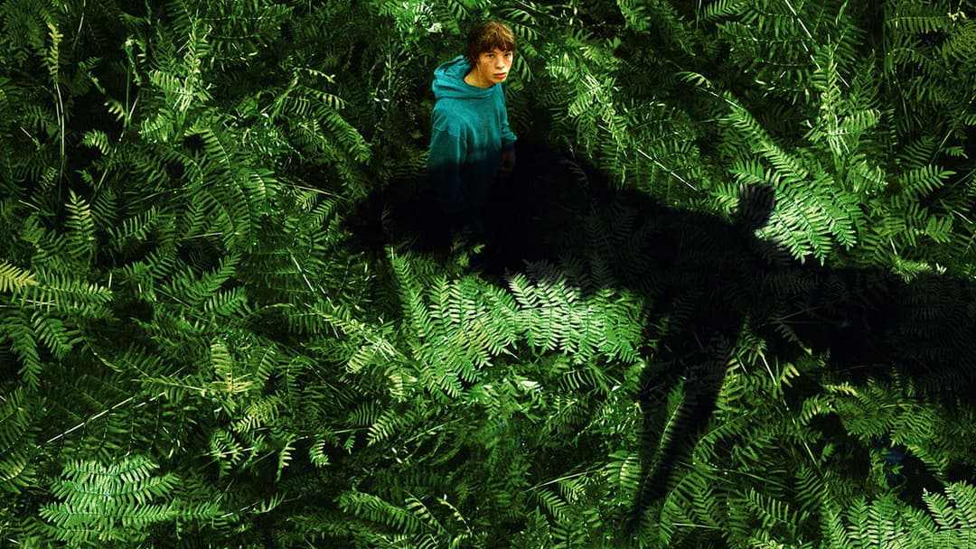 Королівство тварин backdrop 5