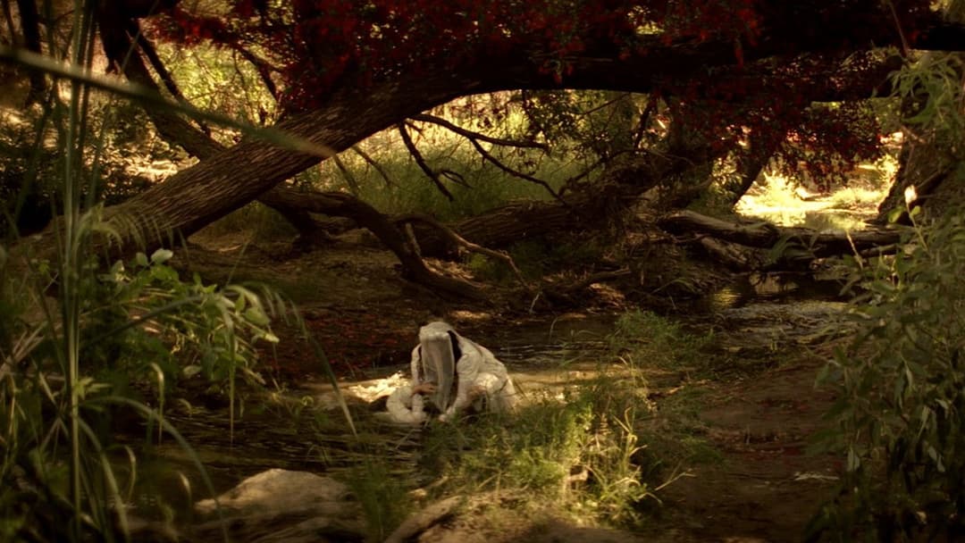 Lloronas Fluch backdrop 16