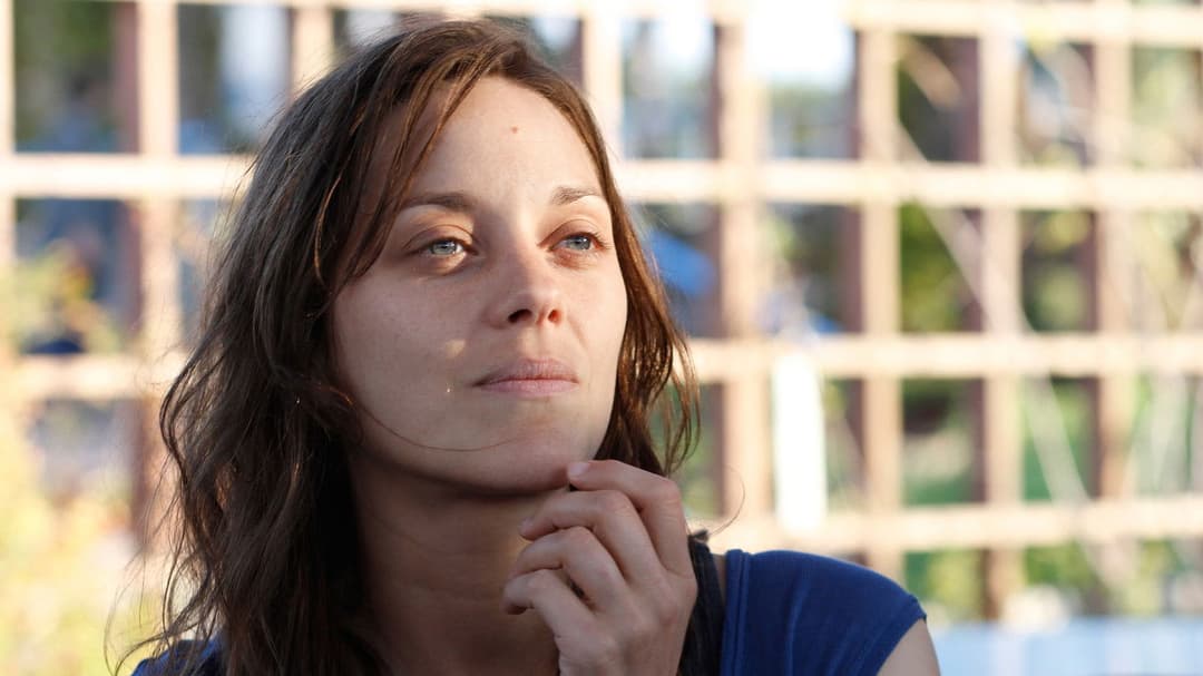 Іржа і кістка backdrop 6