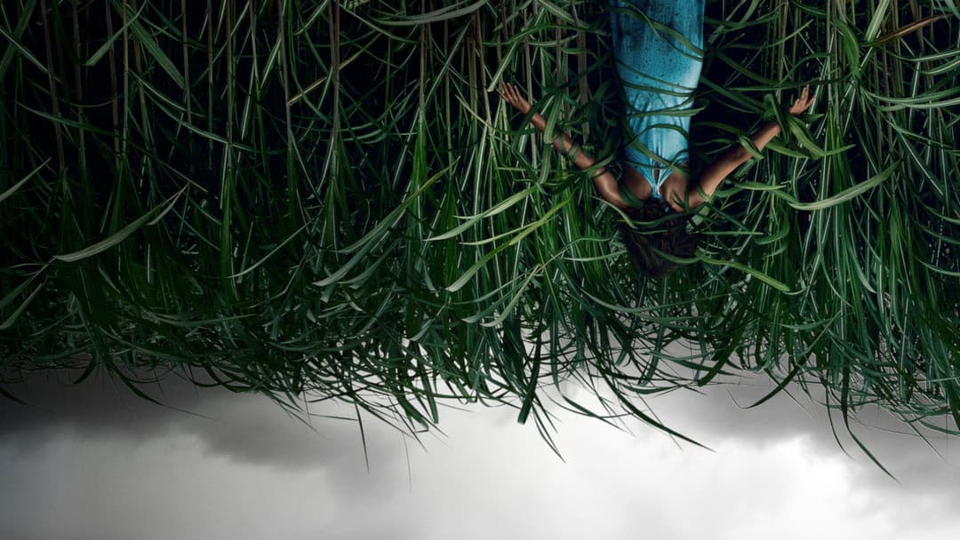 У високій траві backdrop 4