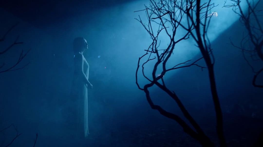 Birdman oder (Die unverhoffte Macht der Ahnungslosigkeit) backdrop 20