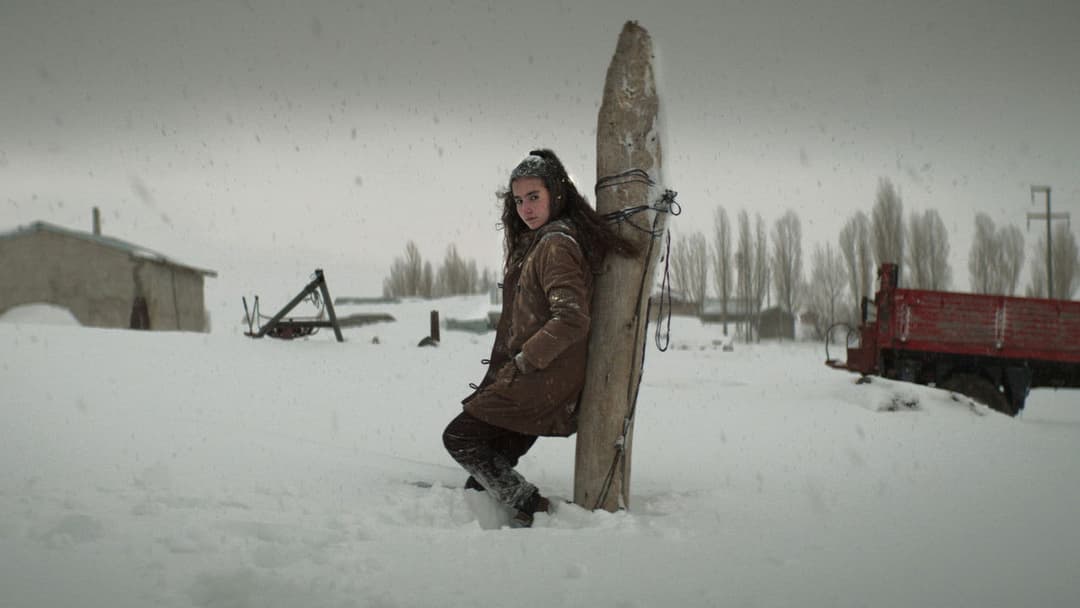 Про траву, що засихає backdrop 6