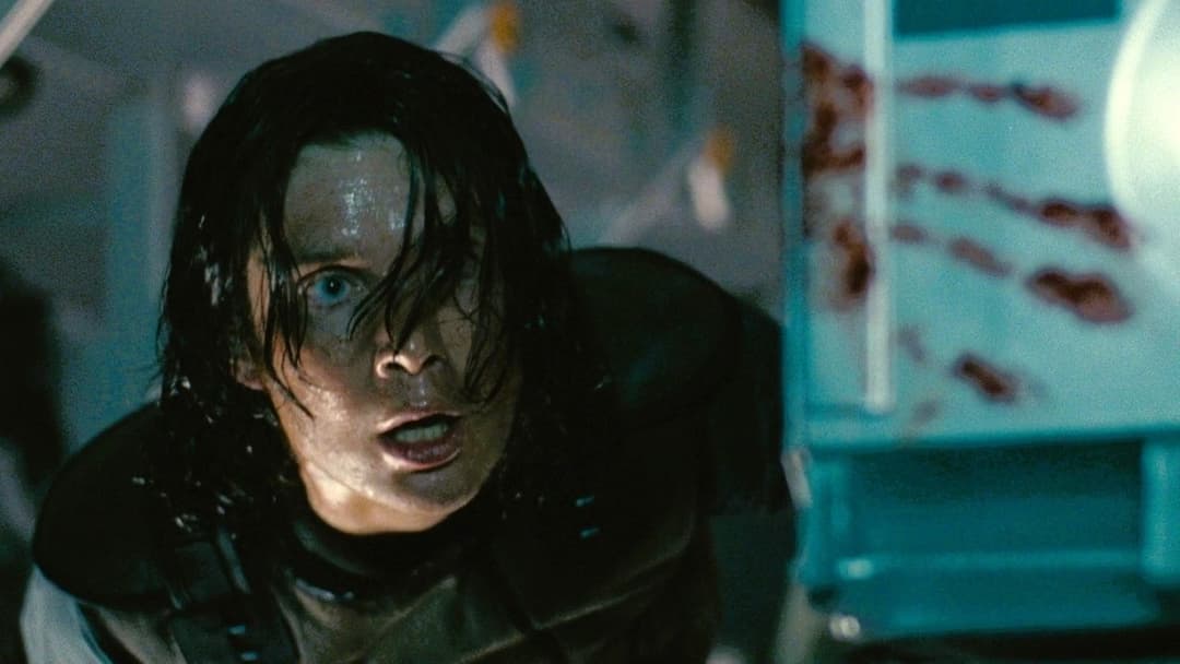 Sunshine backdrop 15