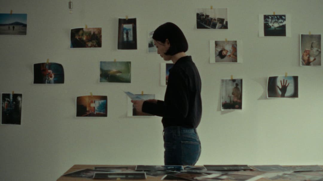 Leave the Cat Alone backdrop 2