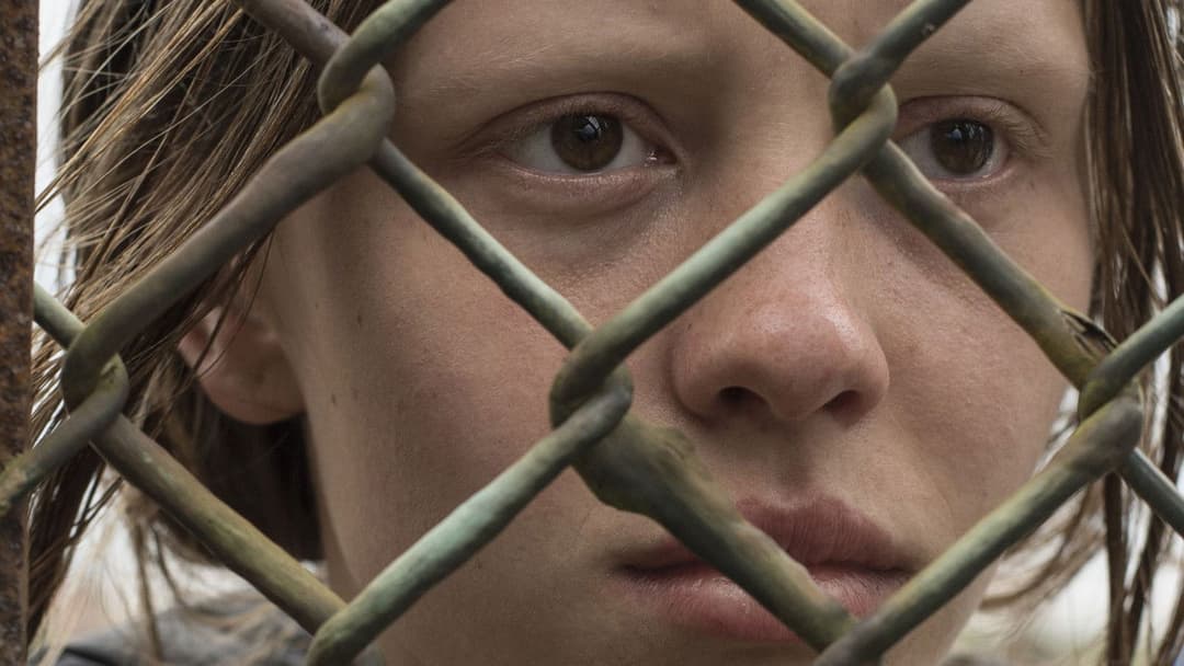 The Survivalist backdrop 4