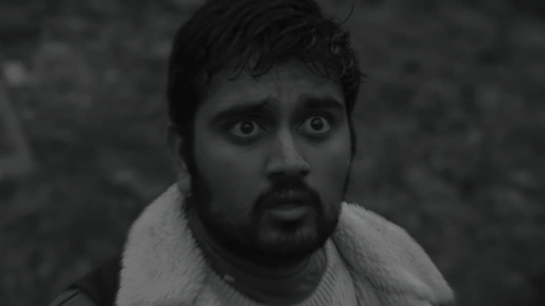 Didn't Die backdrop 1