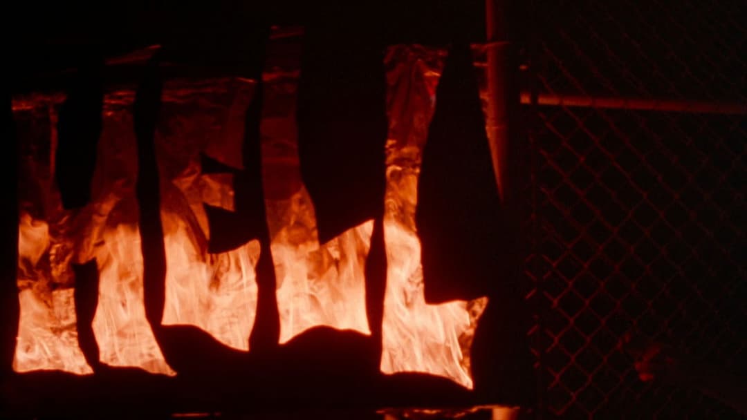 The Doom Generation backdrop 12