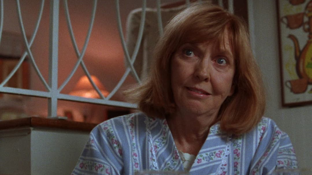 The Daytrippers backdrop 14