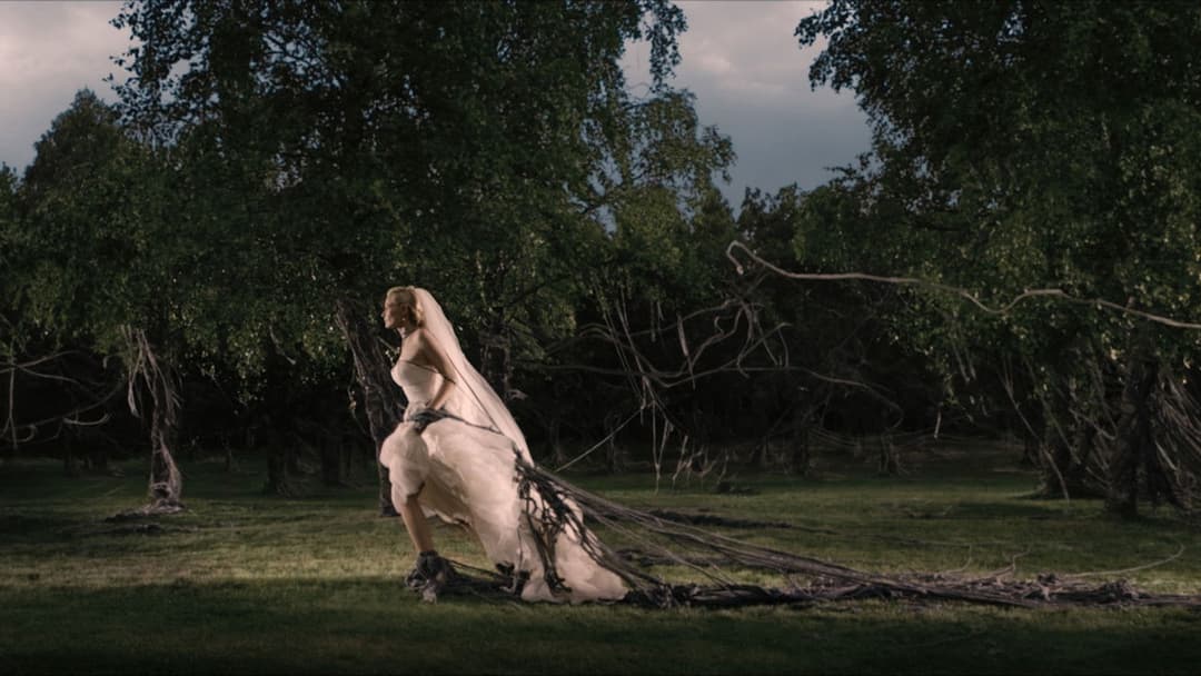 Melancholia backdrop 7