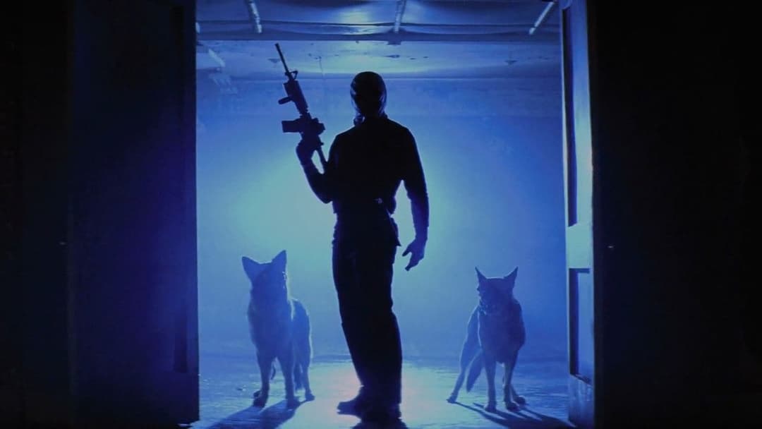 Колекціонер 2 backdrop 10