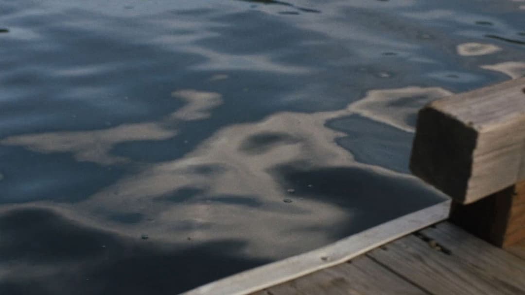 Нічні рухи backdrop 17