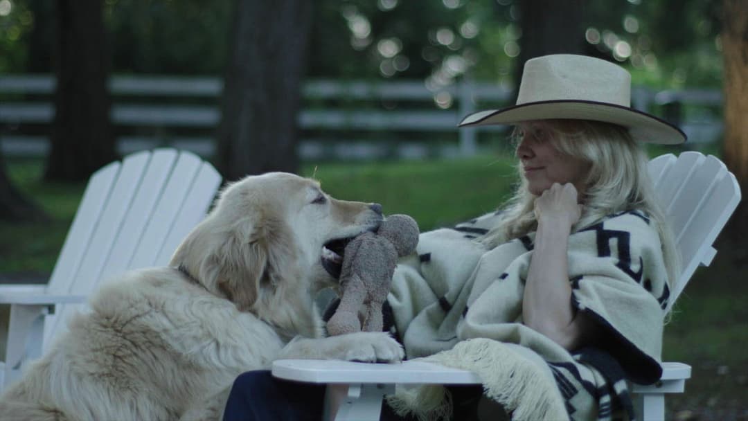 Pamela: Eine Liebesgeschichte backdrop 5