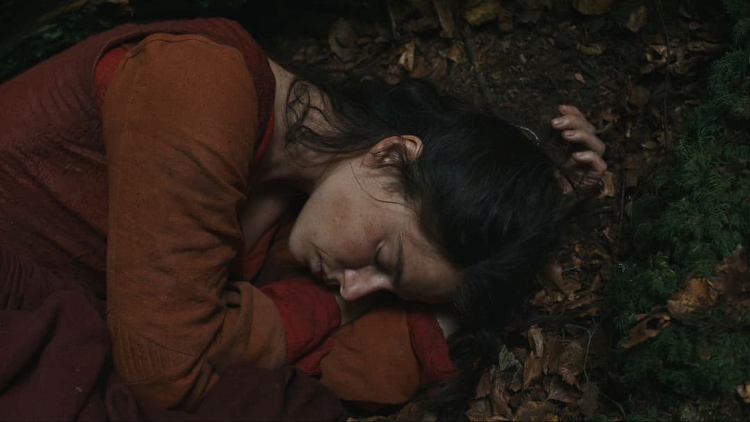 Гамнет backdrop 17