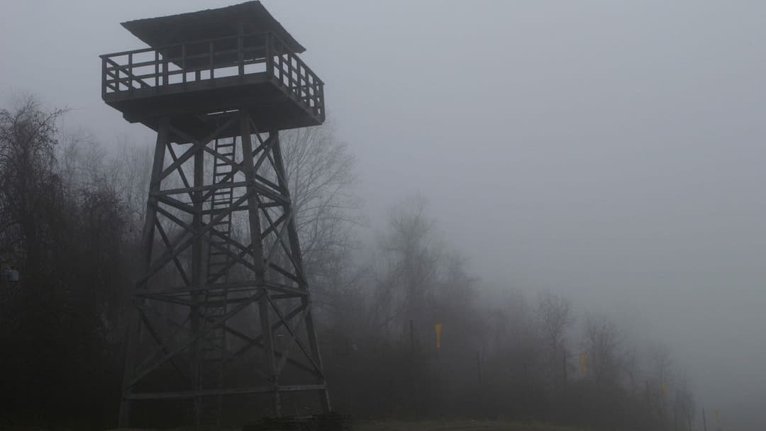 Таємничий ліс backdrop 4