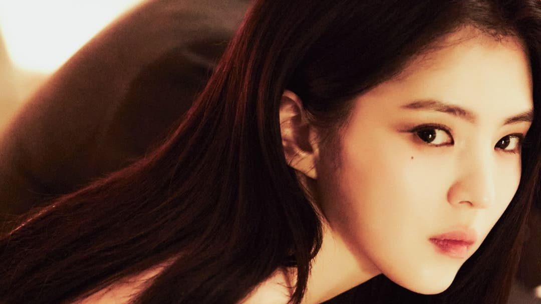 프로젝트 Y backdrop 12