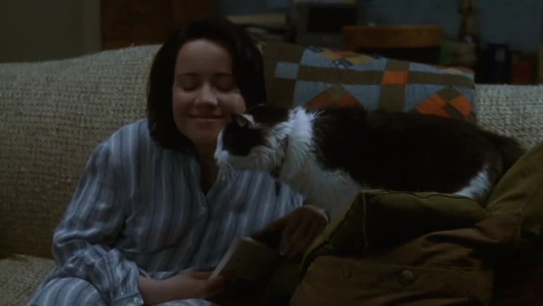 Lügen haben lange Beine backdrop 5