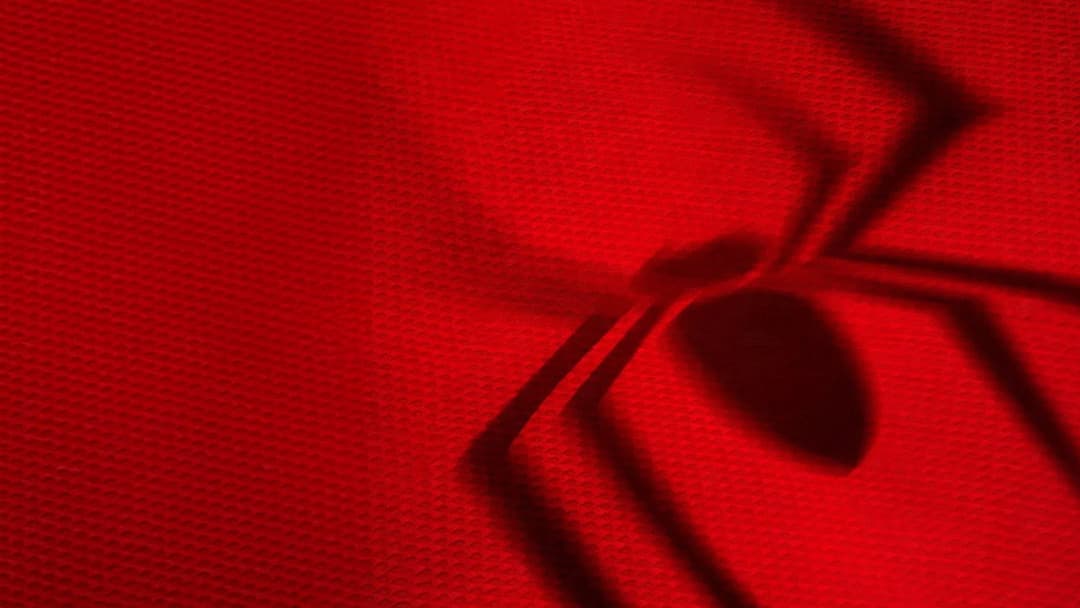 Spider-Man: Brand New Day