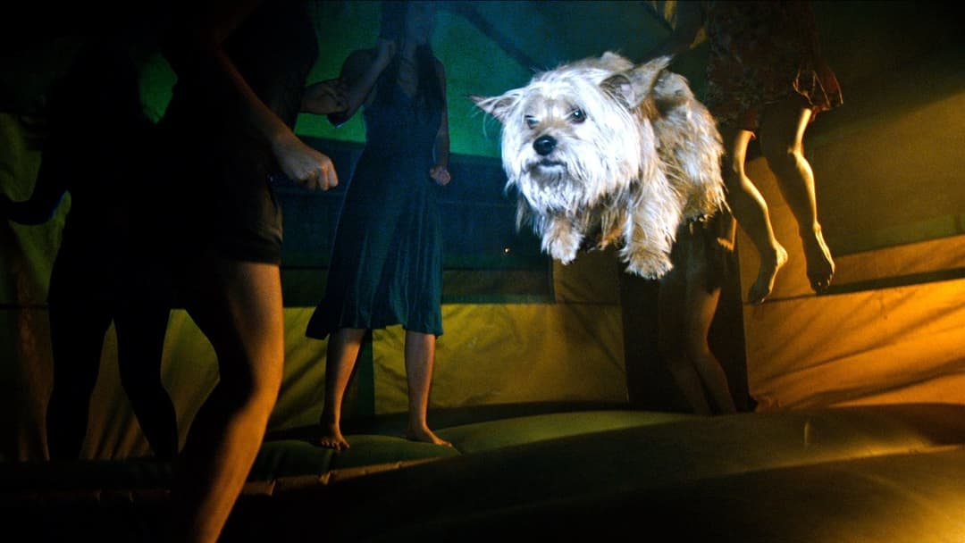 Проект Х: Дорвались-Відірвались backdrop 4