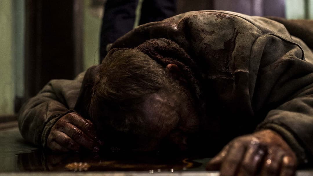 Berlin Syndrom backdrop 19