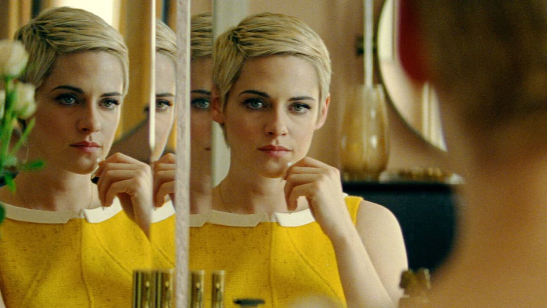 Проти всіх ворогів: Історія Джин Сіберґ backdrop 7