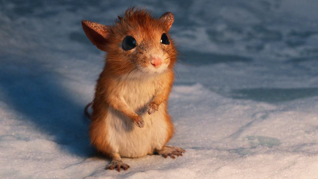 Ein Junge namens Weihnacht backdrop 20