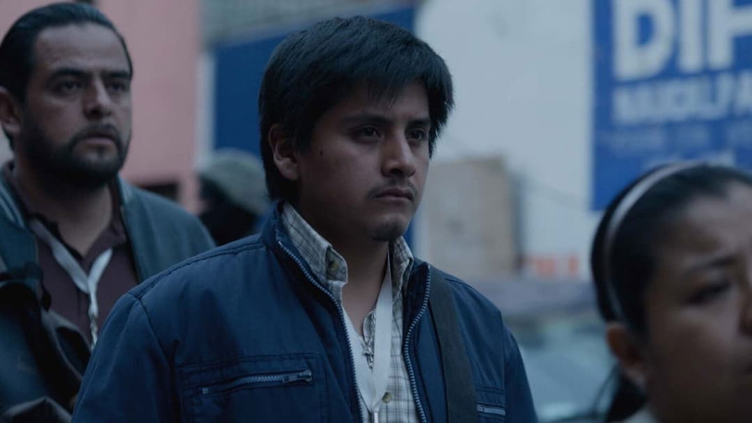 Новий порядок backdrop 4