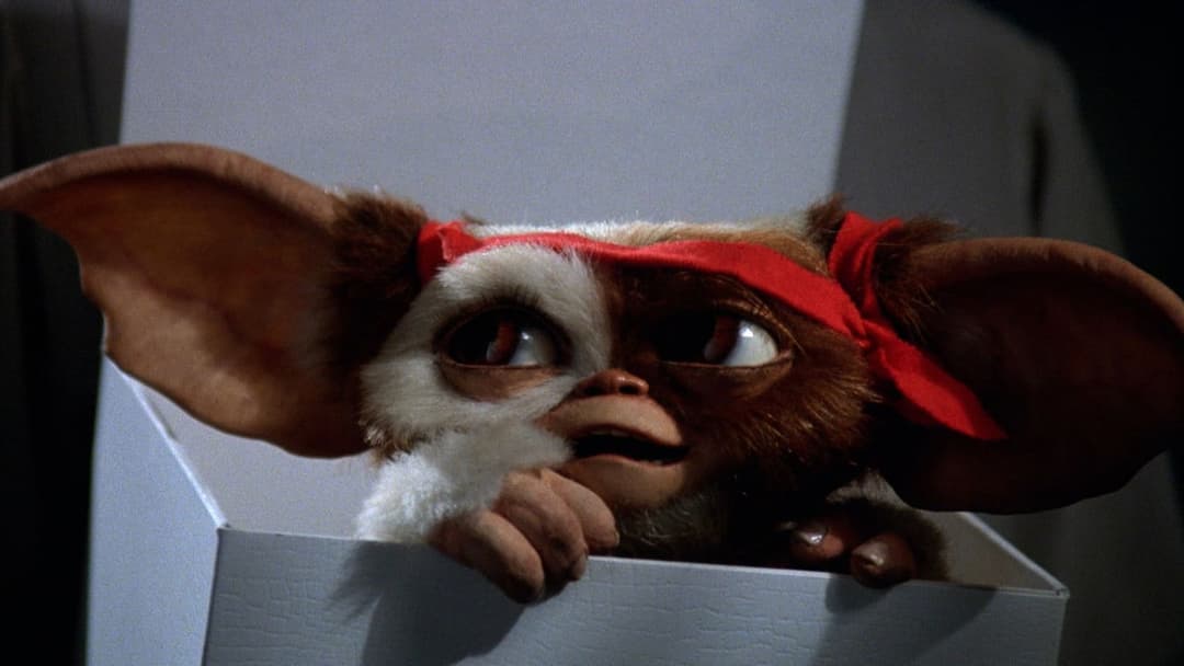 Gremlins 2 - Die Rückkehr der kleinen Monster backdrop 2