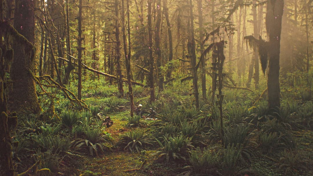 Перспектива backdrop 20