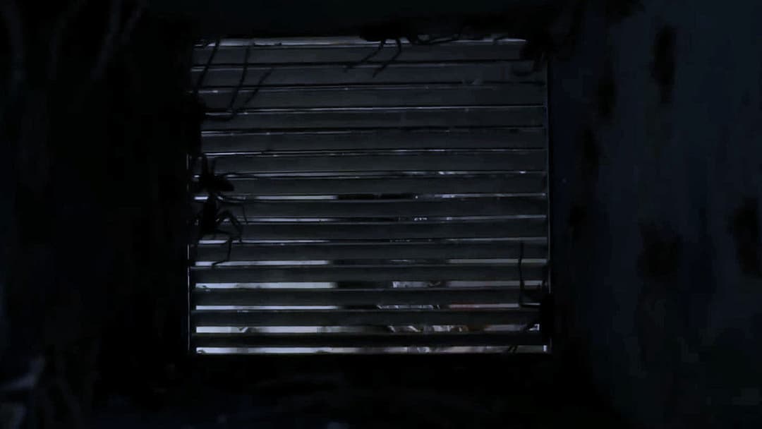 Spiders - Ihr Biss ist der Tod backdrop 15