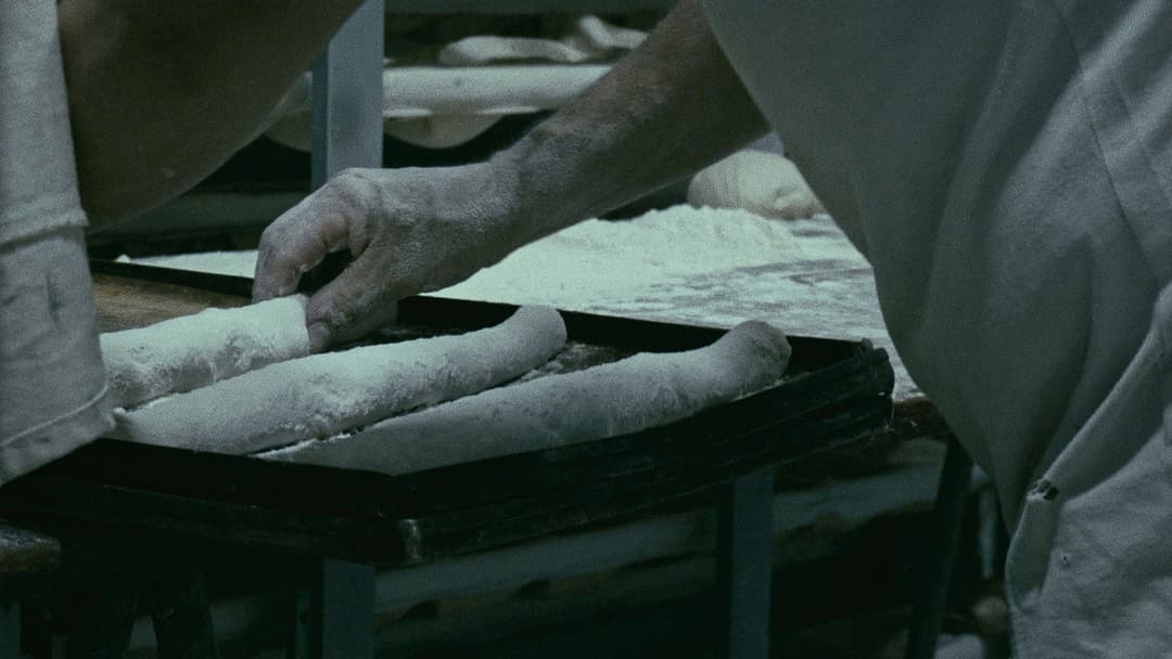 The Mechanics of Film backdrop 3