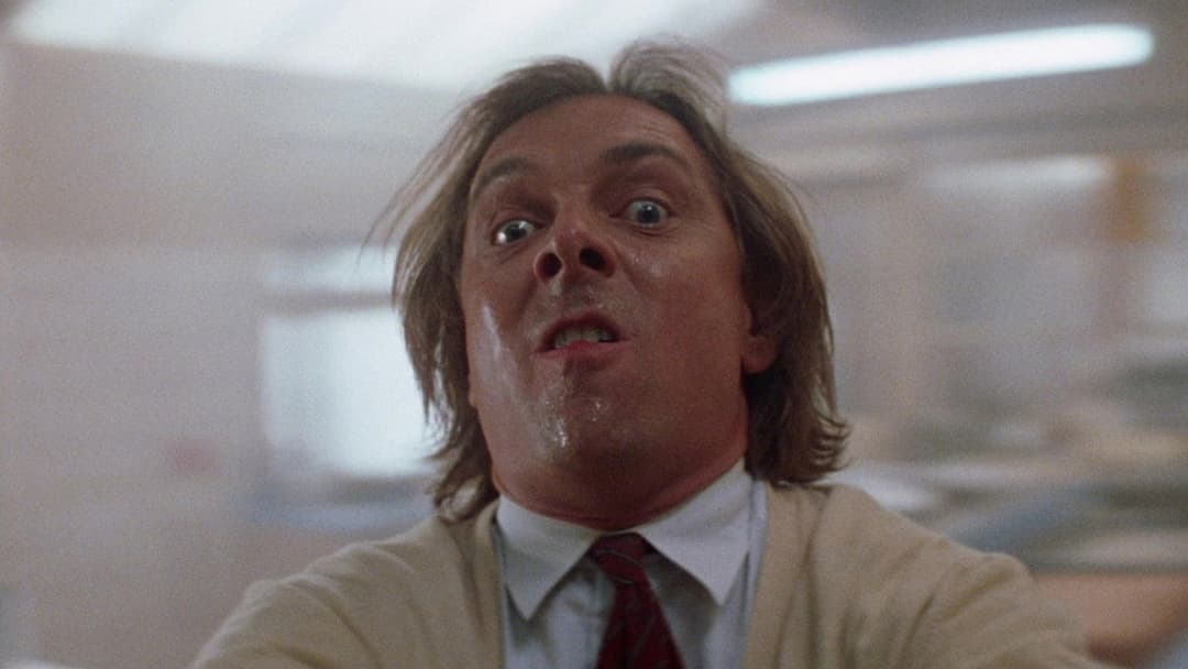 Guest House Paradiso backdrop 6