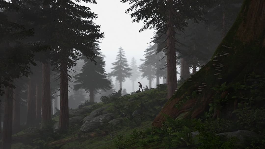 Drachenzähmen leicht gemacht backdrop 12