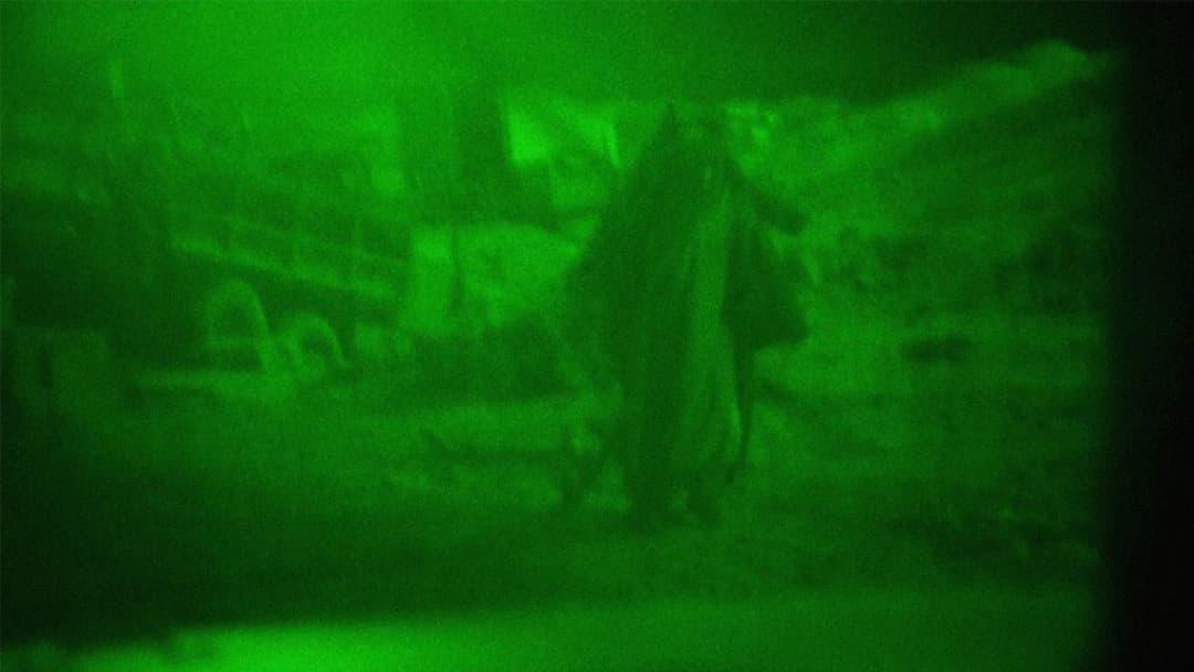 Манжурський кандидат backdrop 7