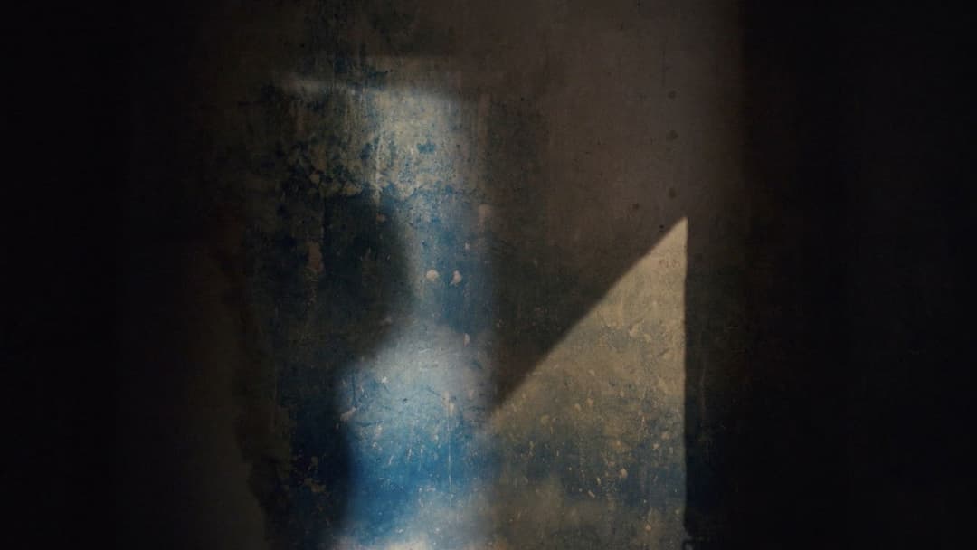 Справжній біль backdrop 20