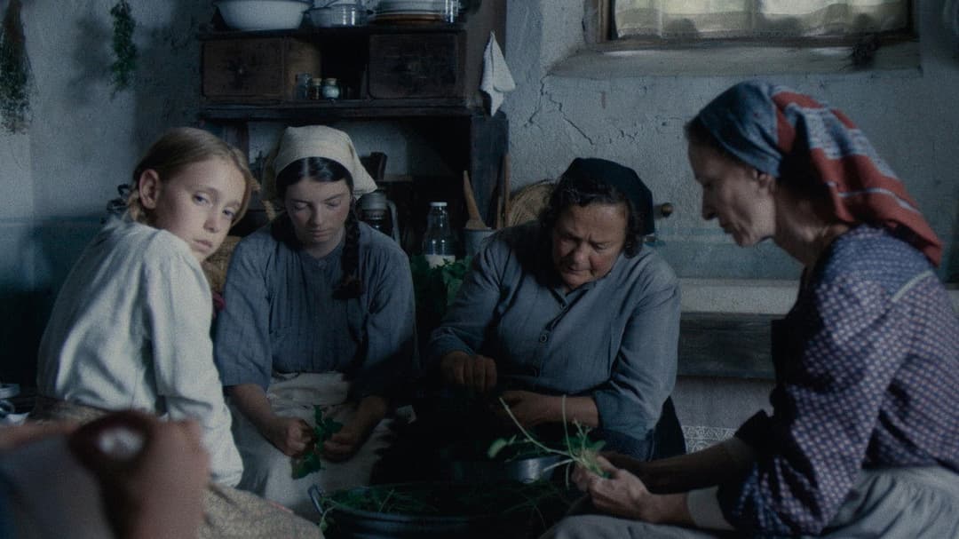 Вермільйо backdrop 17