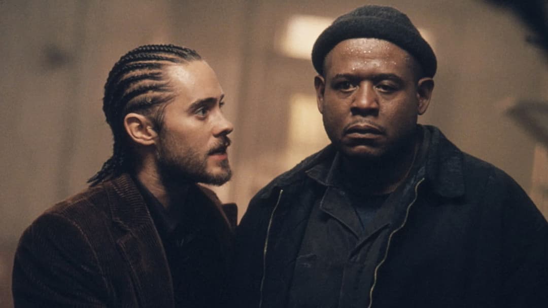 Panic Room backdrop 15