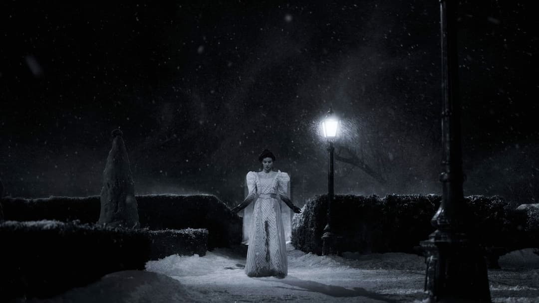 Алея жаху backdrop 16