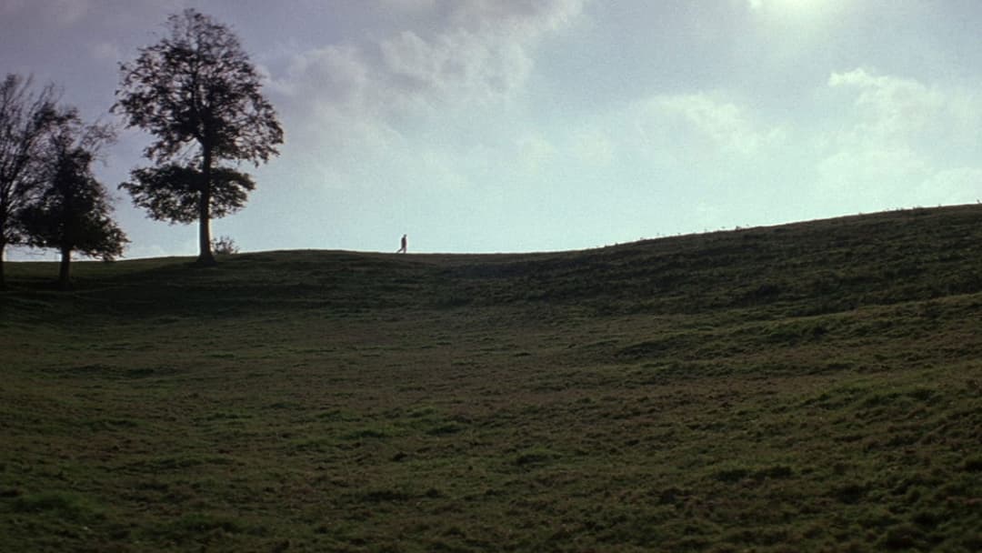 Людяність backdrop 9