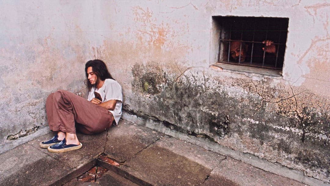 Bicho de Sete Cabeças backdrop 4